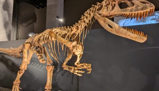 陸マイラー旅デンの福井県立恐竜博物館旅行
