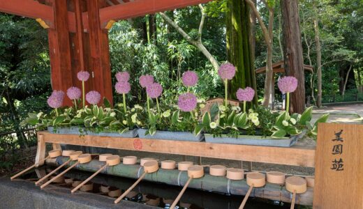 陸マイラー旅デンの日常的　氷川神社参拝